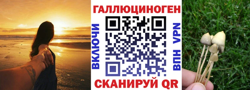 купить  цена  Суздаль  Псилоцибиновые грибы мицелий 
